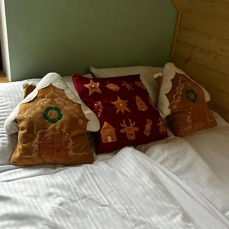 Villa Jungle House - Mazury *